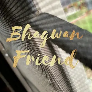 Friend image