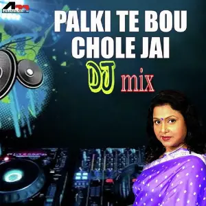 Palki Te Bou Chole Jai Dj Mix image