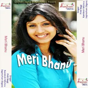 Meri Bhanu image
