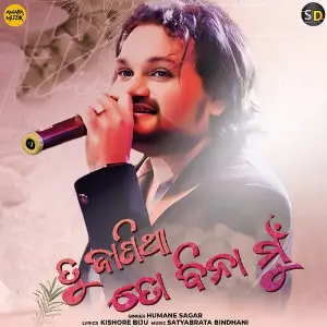 Tu Janitha To Bina Mu image