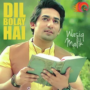 Dil Bolay Hai - Single image