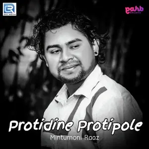 Protidine Protipole image