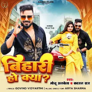 Bihari Ho Kya image