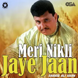 Meri Nikli Jaye Jaan image