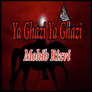 Ya Ghazi Ya Ghazi - Single image