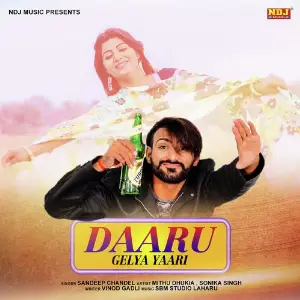 Daaru Gelya Yaari image