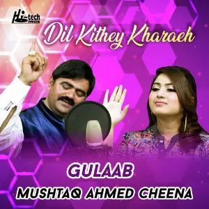 Dil Kithey Kharaeh image