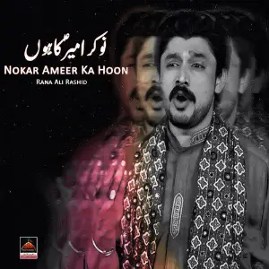 Nokar Ameer Ka Hoon image