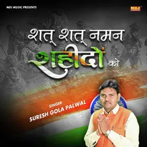 Shat Shat Naman Shahido Ko image