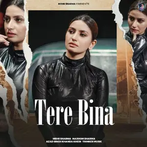 Tere Bina image