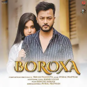 Boroxa image
