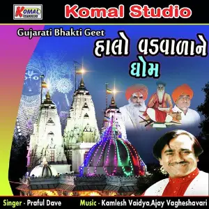 Halo Vadd Vala Ne Dhom image