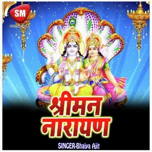 Sriman Narayan (Hindi Bhajan) image