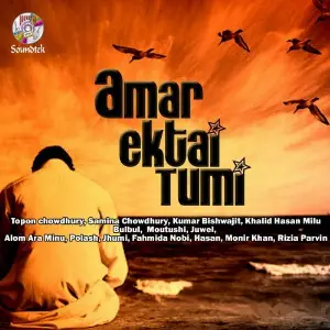 Amar Ektai Tumi image