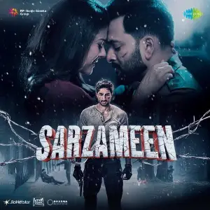 Sarzameen image