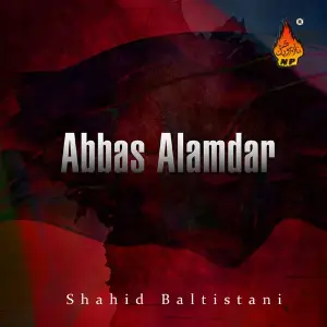 Abbas Alamdar image