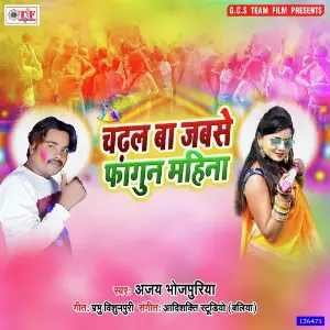 Chadal Ba Jabse Fagun Mahina image