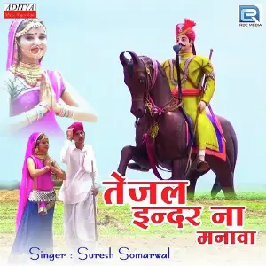 Tejal Indar Na Manava image