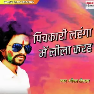 Pichkari Lahanga Me Leela Karha image