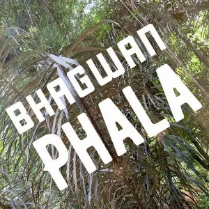 Phala image