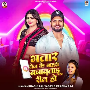 Bhatar Bhej Ke Bahara Banawatadu Reel Ho image