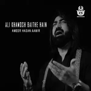 Ali Khamosh Baithe Hain image