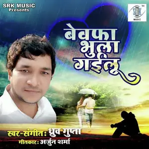 Bewafa Bhula Gailu image