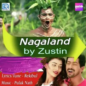 Nagaland image
