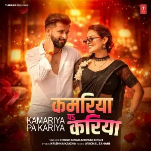 Kamariya Pa Kariya image