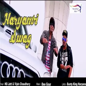 Haryanvi Swag image