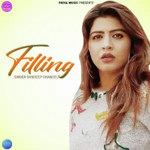Filling - Single image