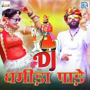 Dj Dhamida Paade image