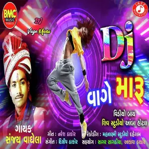 DJ Vage Maru image
