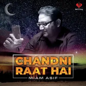 Chandni Raat Hai image