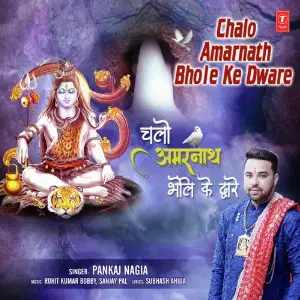 Chalo Amarnath Bhole Ke Dware image