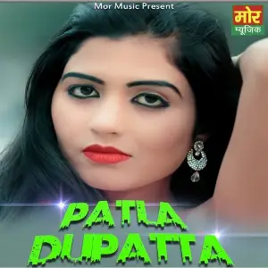 Patla Dupatta image