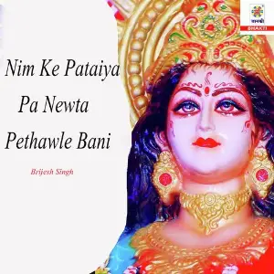 Nim Ke Pataiya Pa Newta Pethawle Bani image