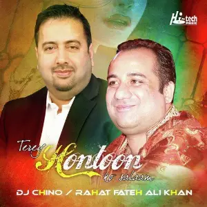 Terey Hontoon Ko Salaam (feat. DJ Chino) image