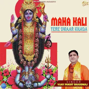 Maha Kali Tere Dwaar Khada - Single image