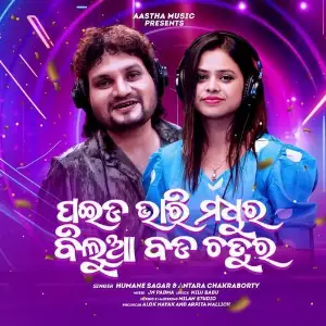 Paida Bhari Madhura image