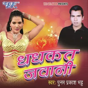 Dhadhkat Jawani image