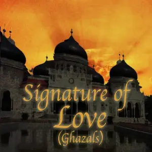 Signature Of Love image