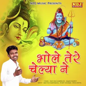 Bhole Tere Chelya Ne image