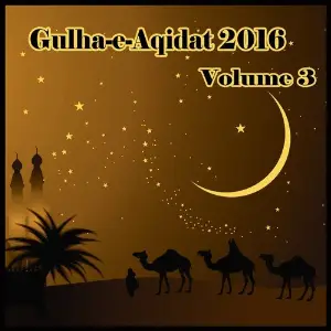 Gulha-e-Aqidat 2016, Vol. 3 image