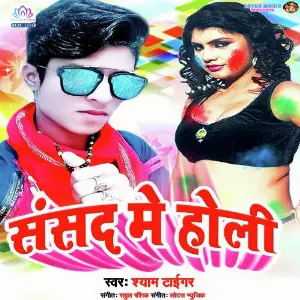 Sansad Me Holi image