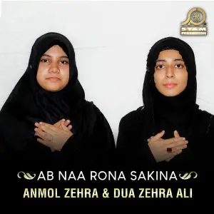 Ab Naa Rona Sakina - Single image