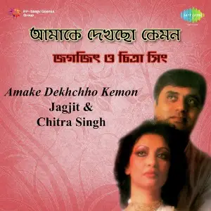 Amake Dekhchho Kemon Jagjit And Chitra image