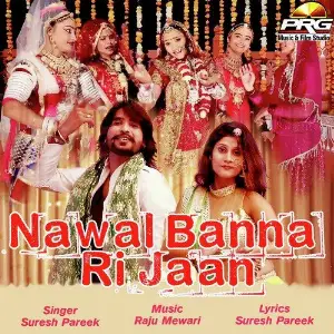 Nawal Banna Ri Jaan image
