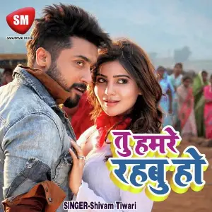 Tu Hamre Rahabu Ho (Bhojpuri Romantic Song) image