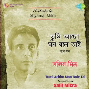 Salil Mitra - Tumi Achho Mon Bale Tai image